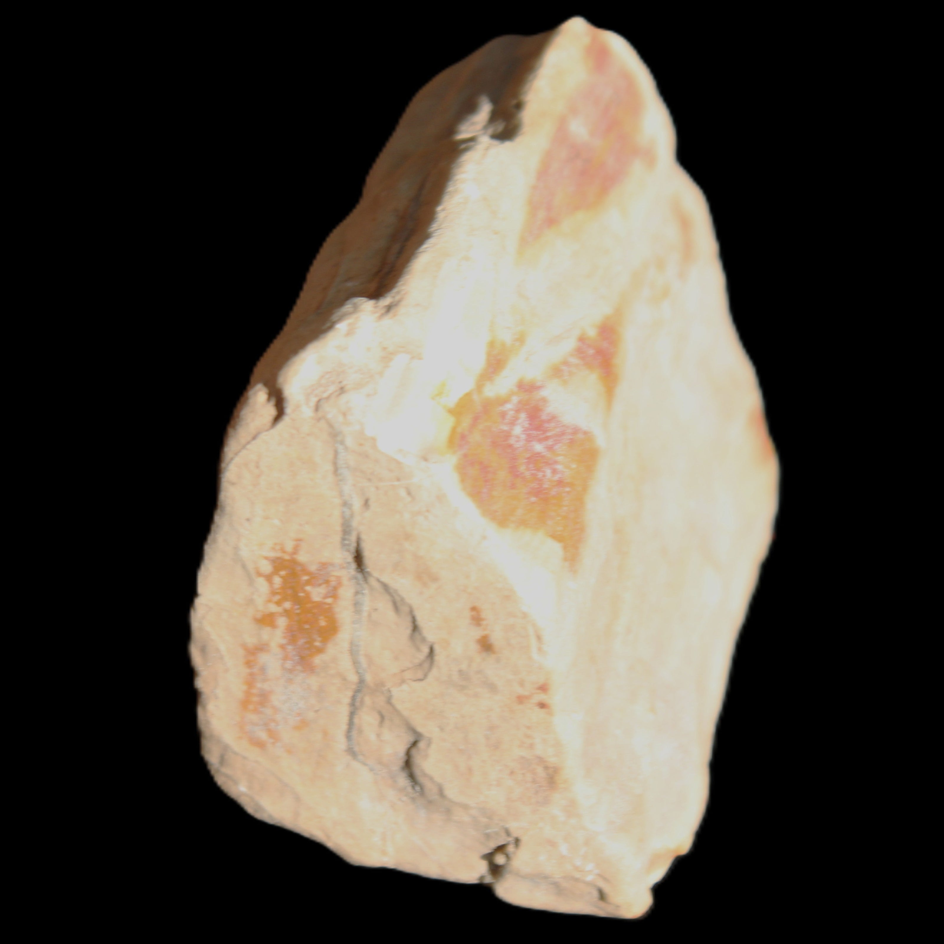 Petrified Wood from Queensland 239g in sunlight - Rocks and Things Store
