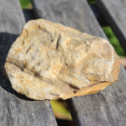 Petrified Wood from Queensland 270g Rocks and Things