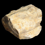 Petrified Wood from Queensland 270g -  Rocks and Things Store