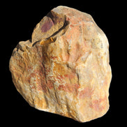 Petrified Wood from Queensland 270g -  Rocks and Things Store