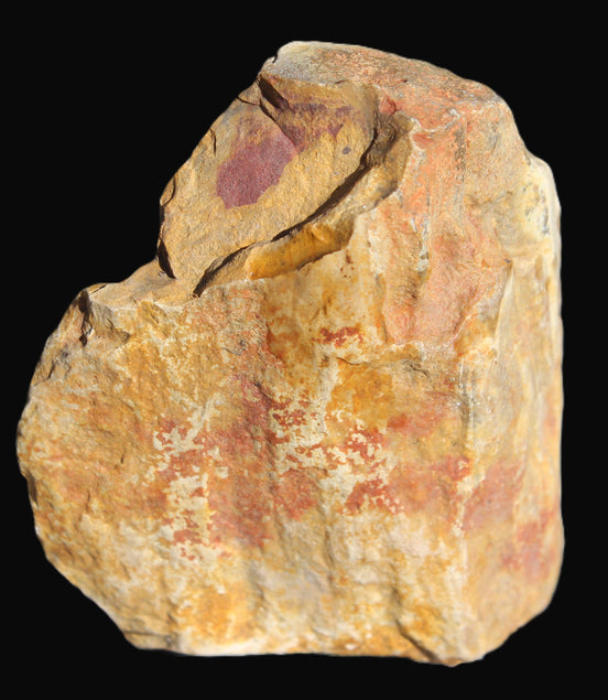 Petrified Wood from Queensland 270g -  Rocks and Things Store