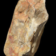 Petrified Wood from Queensland 270g -  Rocks and Things Store