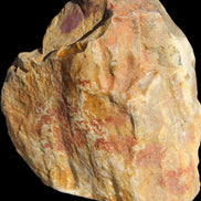 Petrified Wood from Queensland 270g -  Rocks and Things Store