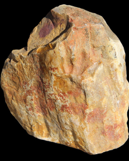Petrified Wood from Queensland 270g -  Rocks and Things Store