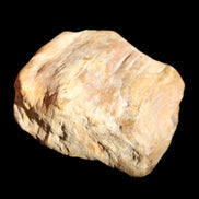 Petrified Wood unpolished from Queensland 227g in sunlight - Rocks and Things Store