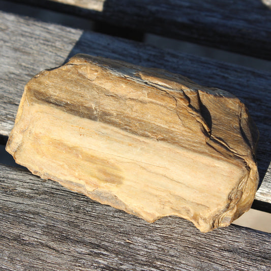 Petrified Wood from Queensland 104g Rocks and Things