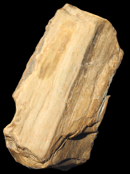 Petrified Wood from Queensland 104g Rocks and Things