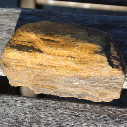 Petrified Wood from Queensland 104g