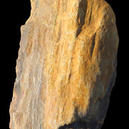 Petrified Wood from Queensland 104g Rocks and Things