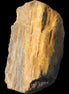 Petrified Wood from Queensland 104g Rocks and Things