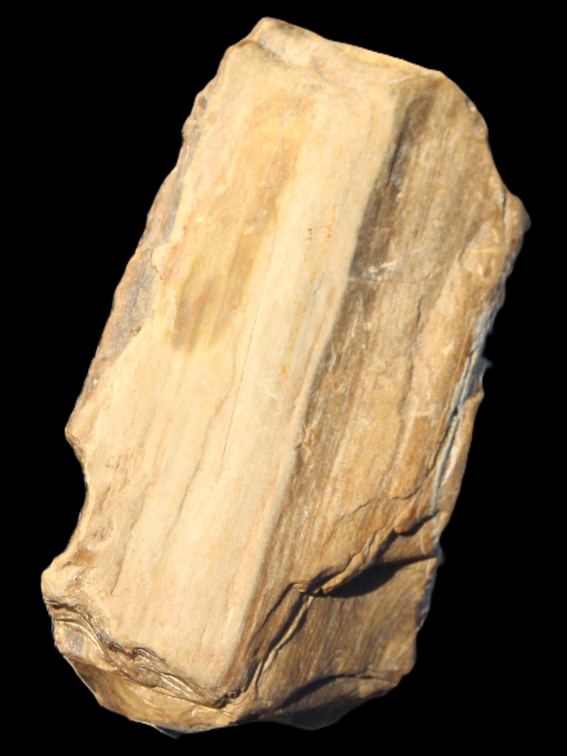 Petrified Wood from Queensland 104g Rocks and Things