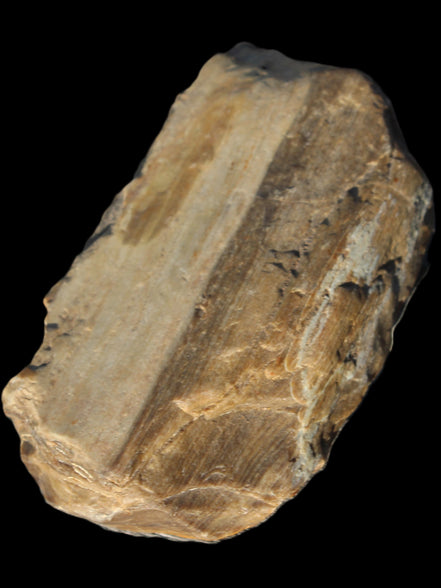 Petrified Wood from Queensland 104g Rocks and Things