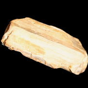 Small natural Petrified Wood from Queensland 104g in sunlight - Rocks and Things Store