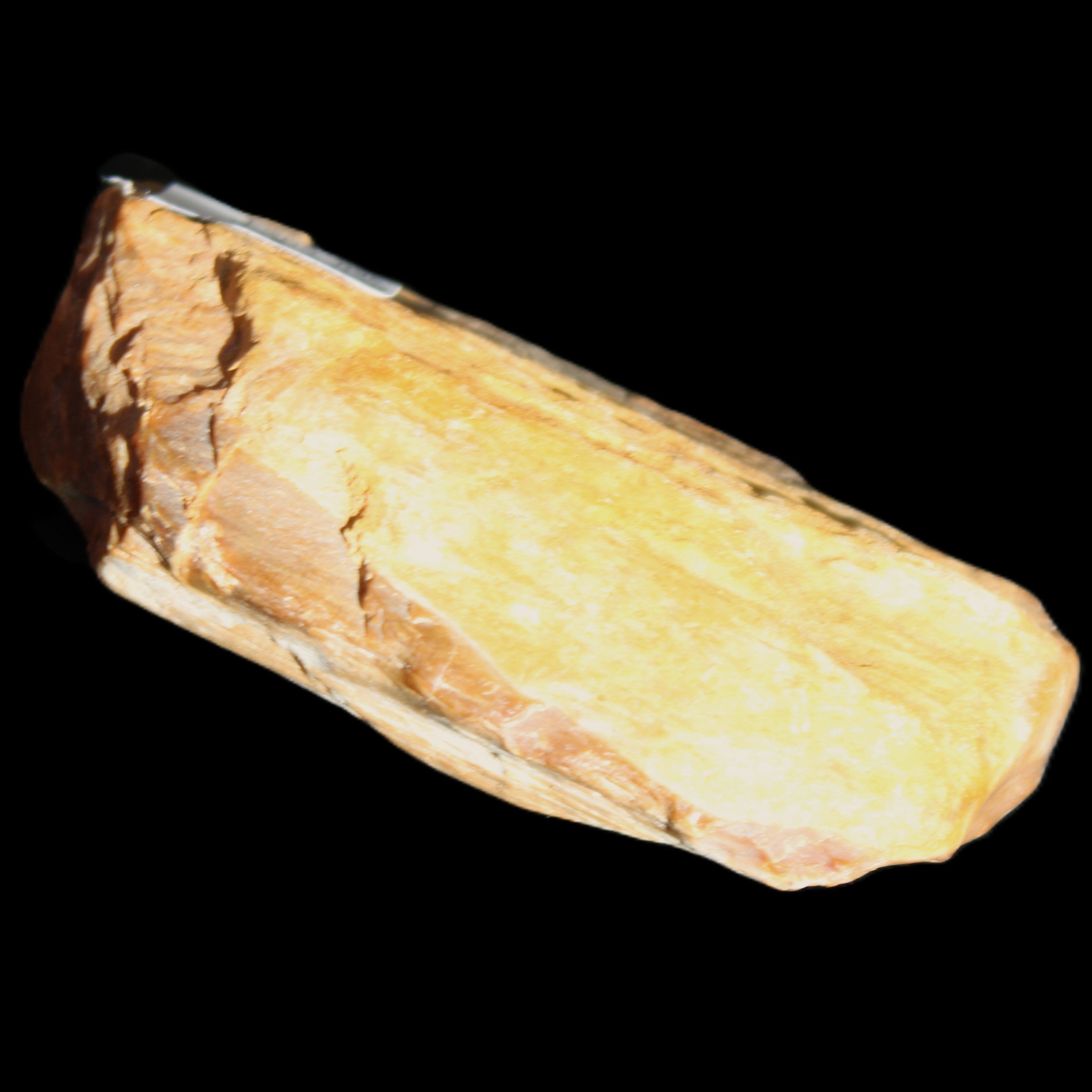 Small natural Petrified Wood from Queensland 104g in sunlight - Rocks and Things Store