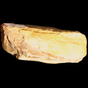Small natural Petrified Wood from Queensland 104g in sunlight - Rocks and Things Store