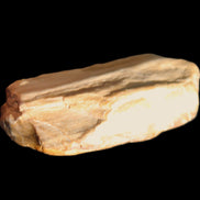 Small natural Petrified Wood from Queensland 104g in sunlight - Rocks and Things Store