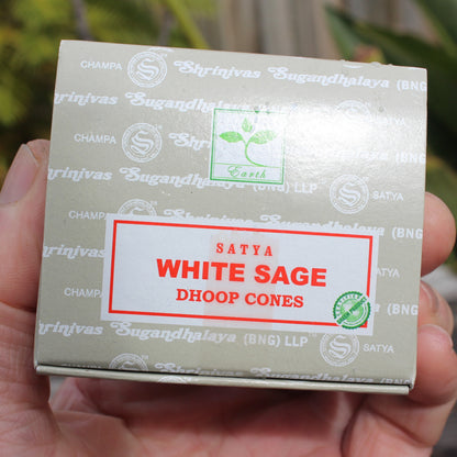 White Sage incense sticks HEM Precious (20) Rocks and Things