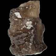 Smoky Quartz Nirvana crystal etched from Himalaya 34mm 32g Rocks and Things