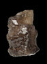 Smoky Quartz Nirvana crystal etched from Himalaya 34mm 32g Rocks and Things