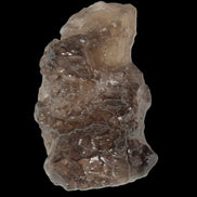 Smoky Quartz Nirvana crystal etched from Himalaya 34mm 32g Rocks and Things