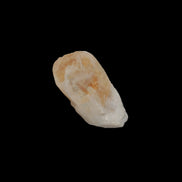 Citrine crystal from the Himalaya 10-12g    - Rocks and Things Store