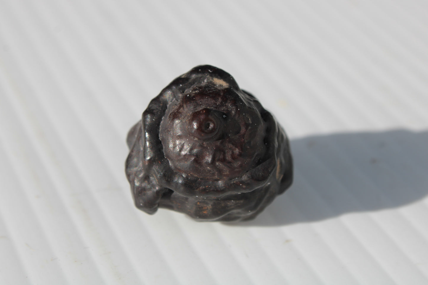 Carbonado Black Diamond from Egypt 22g Rocks and Things