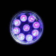 Roceei bright UV torch 87mm aluminium alloy body without batteries - Rocks and Things Store