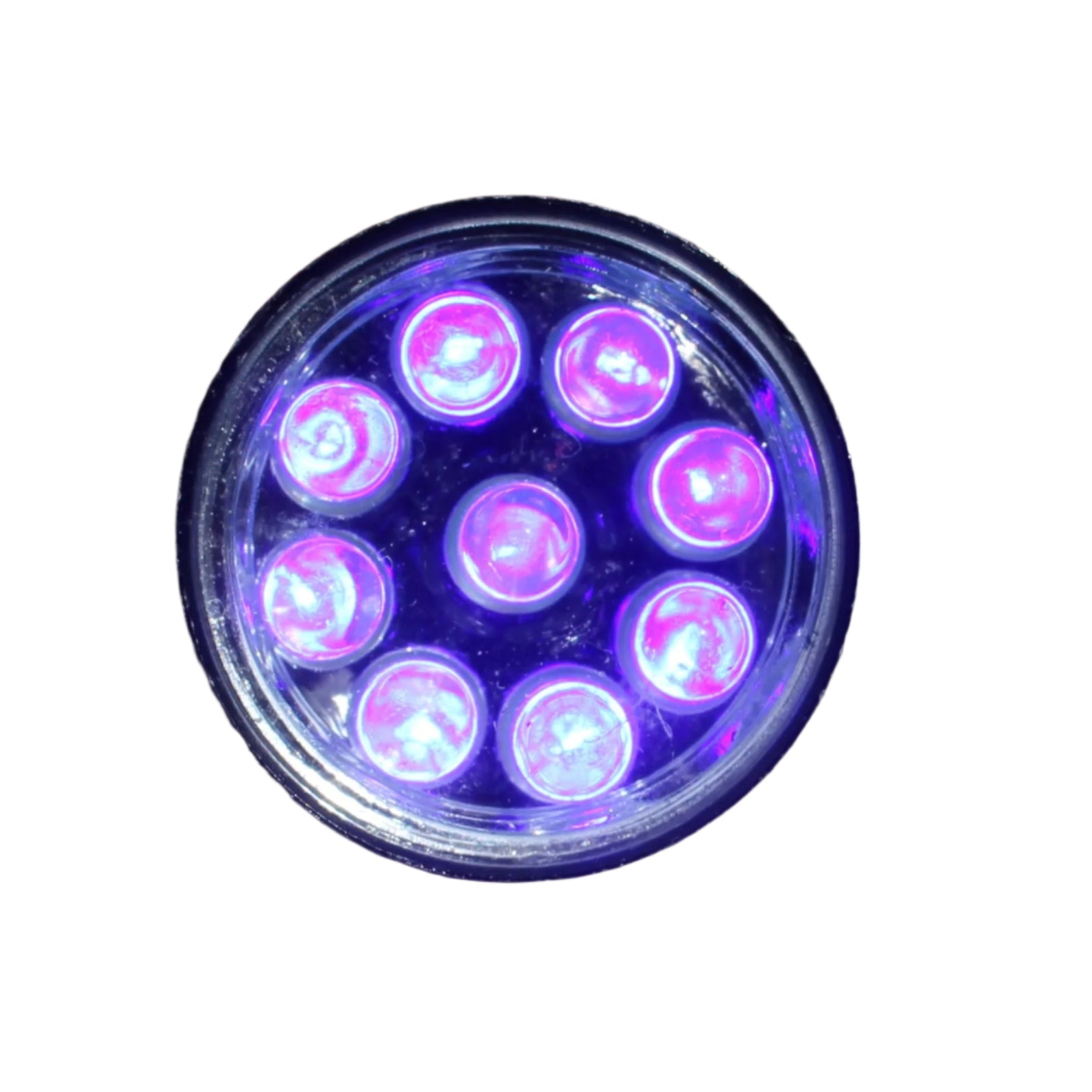 Roceei bright UV torch 87mm aluminium alloy body without batteries - Rocks and Things Store