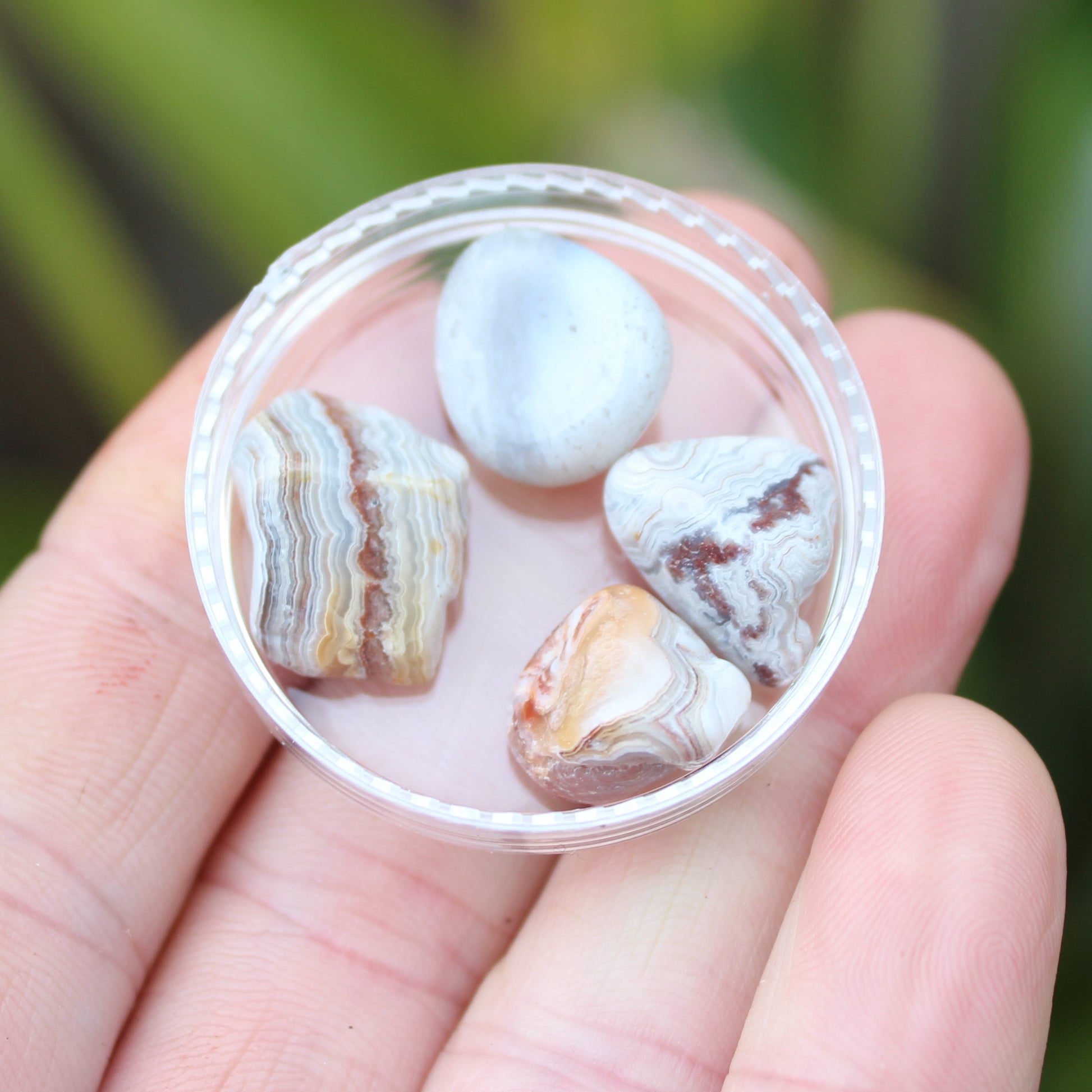 Crazy Lace Agate 3/4 tiny polished stones from Mexico 7-8g Rocks and Things