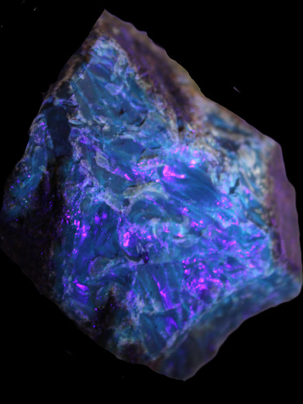 Blue Amber from Mozambique 29.8g in UV light - Rocks and Things Store