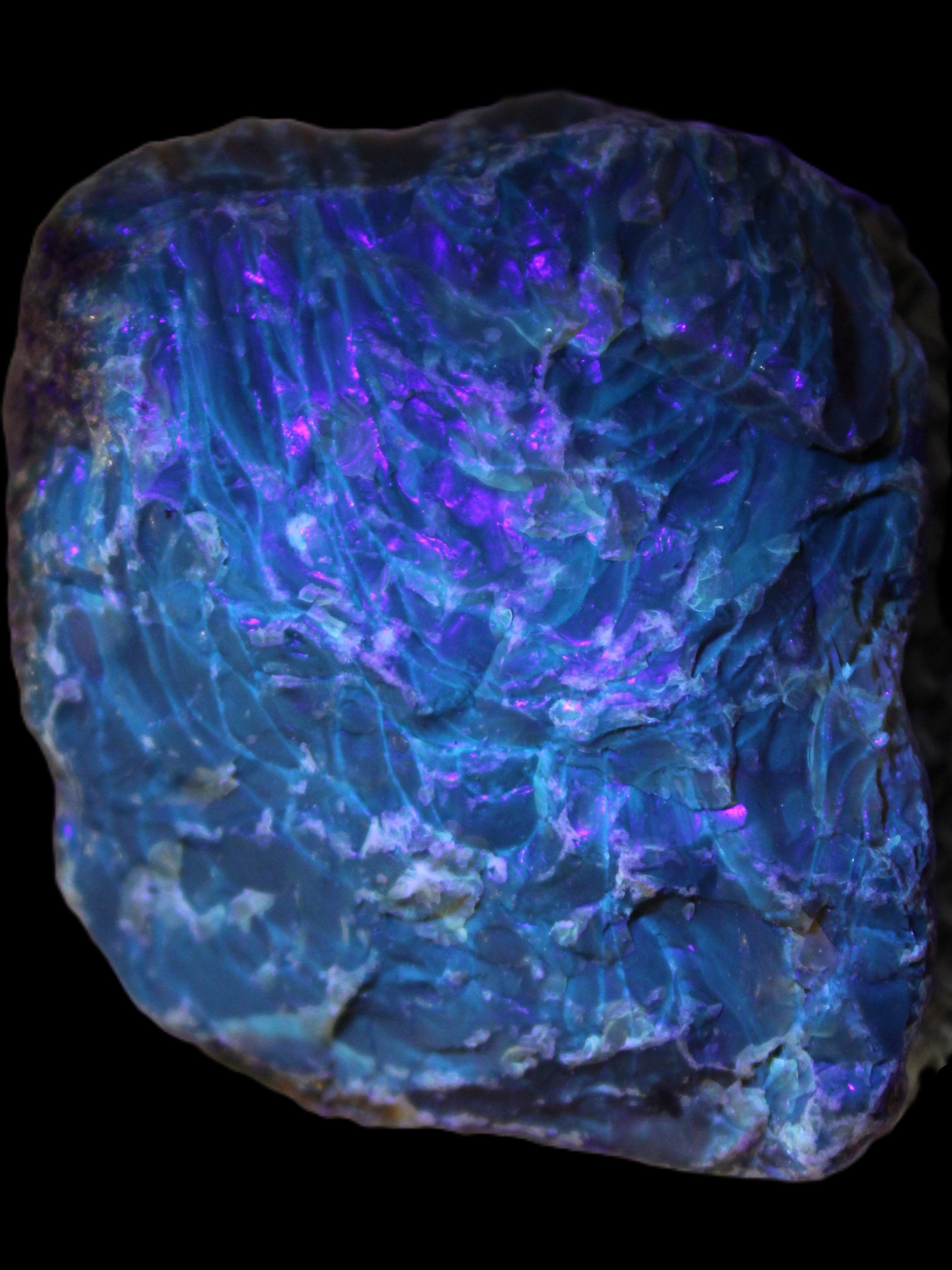 Blue Amber from Mozambique 29.8g in UV light  - Rocks and Things Store