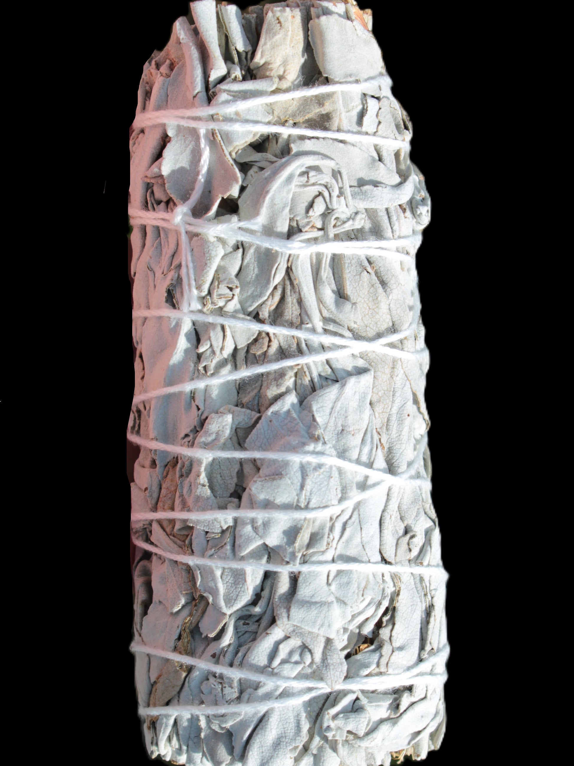 White Sage (California) Smudge stick 37-43g Rocks and Things