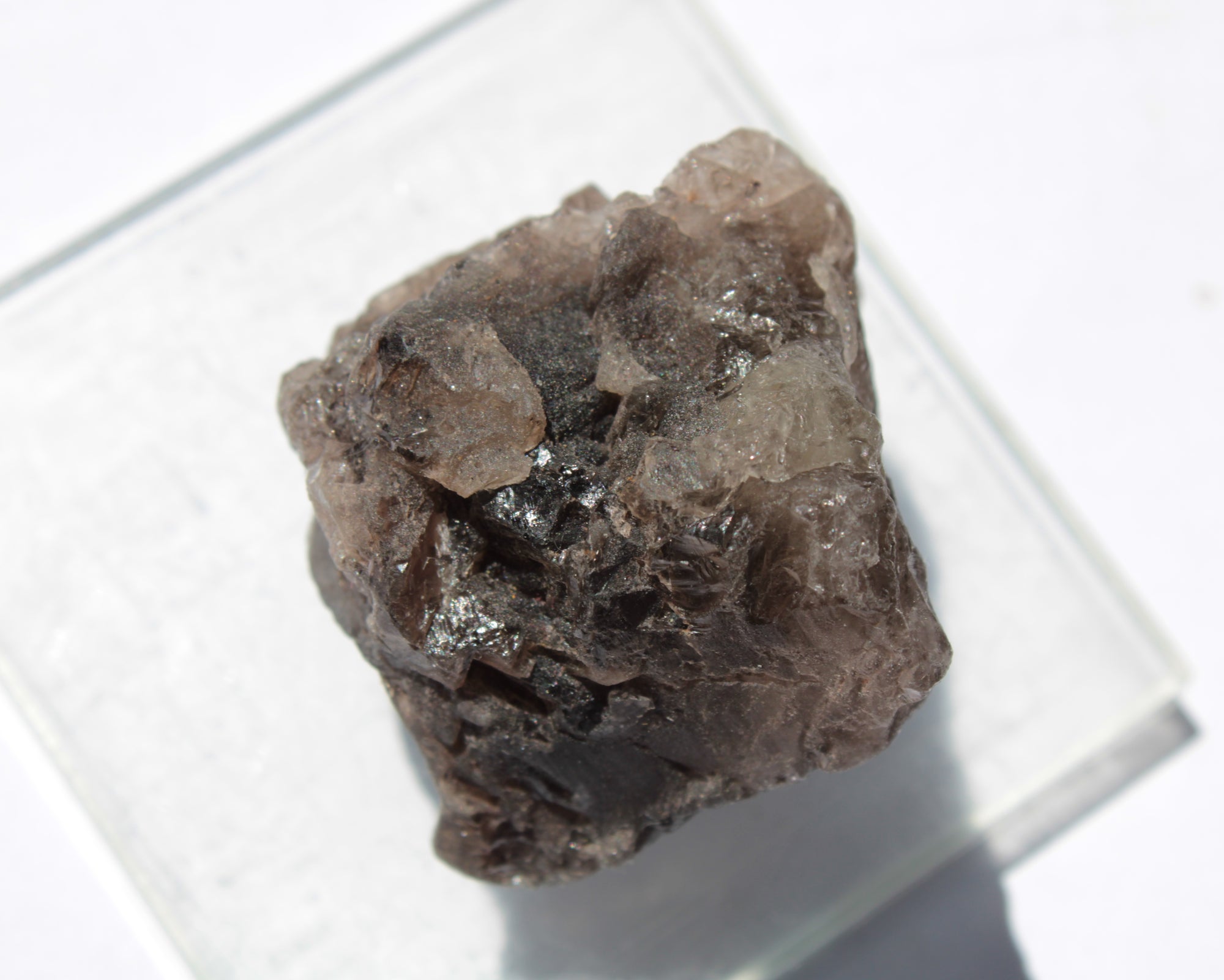 Smoky Quartz etched Nirvana crystal from the Himalaya 33mm 50g Rocks and Things