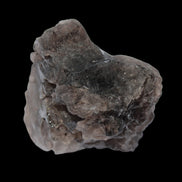 Smoky Quartz etched Nirvana crystal from the Himalaya 33mm 50g in sunlight - Rocks and Things Store