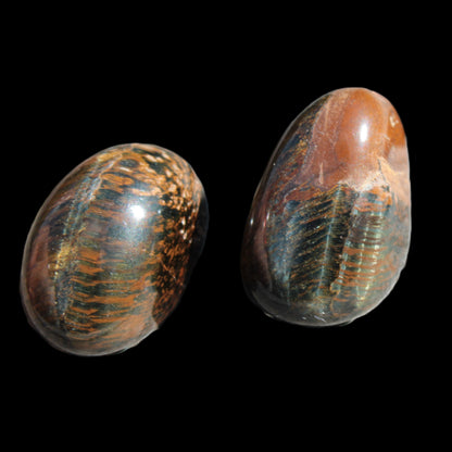 Blue Red and Golden Tigers Eye 2 small polished stones 15g Rocks and Things