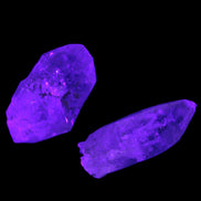 Two Fenster Quartz with hydrocarbons crystals 13-14g Rocks and Things