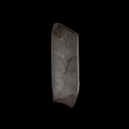 Quartz crystal point 8.8/9.9g in sunlight - Rocks and Things Store