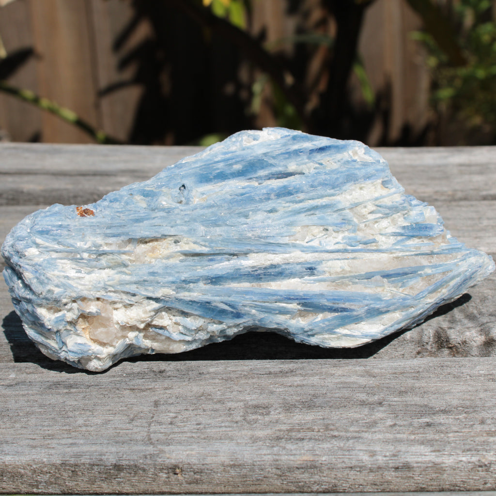 Kyanite cluster 555g Rocks and Things
