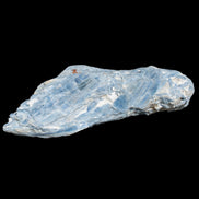 Kyanite cluster 555g in sunlight -  Rocks and Things Store