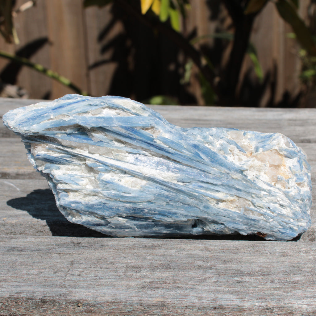 Kyanite cluster 555g Rocks and Things