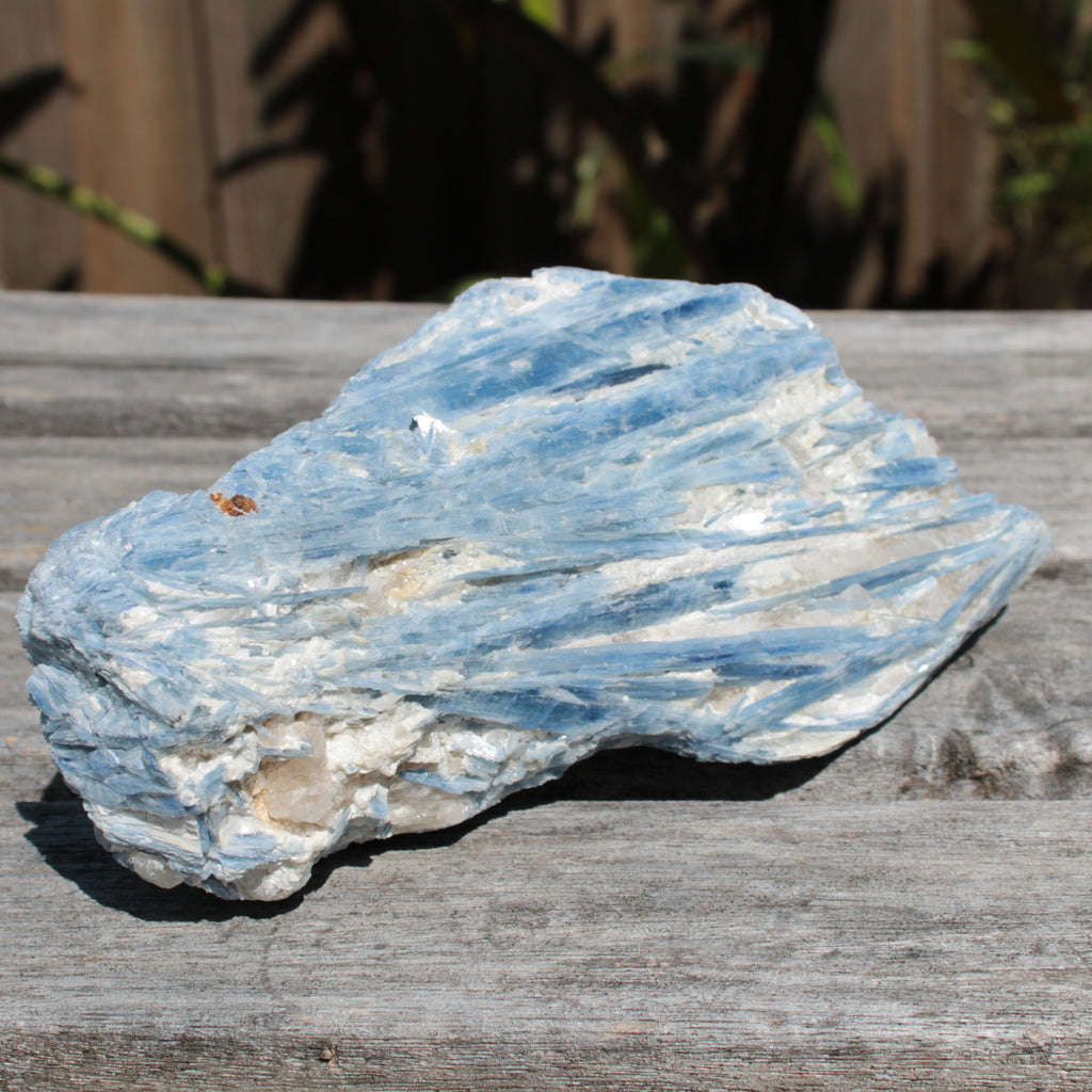 Kyanite cluster 555g Rocks and Things