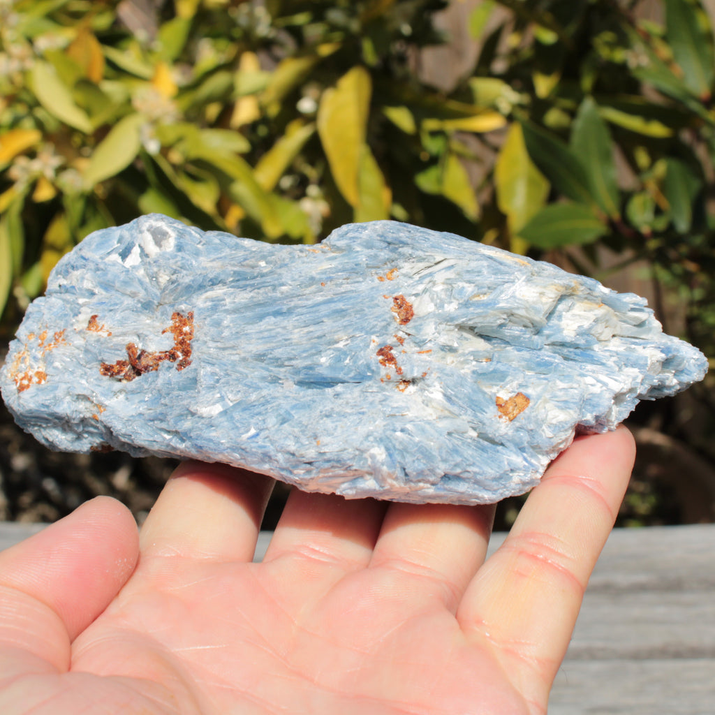 Kyanite cluster 555g Rocks and Things