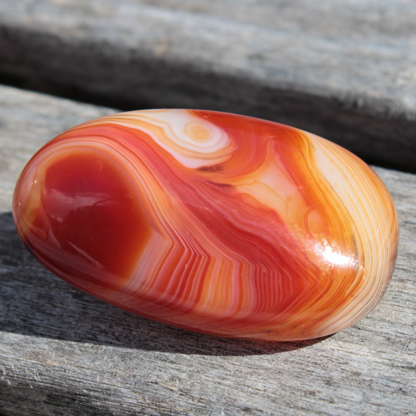 Crazy Silk Banded Agate from Madagascar 38.6g Rocks and Things