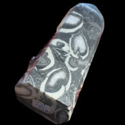 Thousand Eye Stone obelisk 1286g  in sunlight - Rocks and Things Store