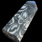 Thousand Eye Stone obelisk 1286g Rocks and Things