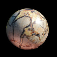 Septarian Dragon Stone sphere 1890g in sunlight -  Rocks and Things Store
