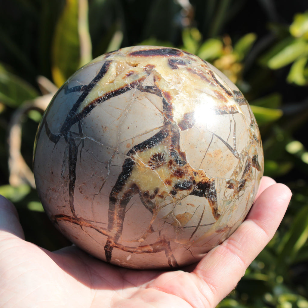 Septarian Dragon Stone sphere 1890g SALE Rocks and Things