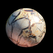 Septarian Dragon Stone sphere 1890g in sunlight -  Rocks and Things Store