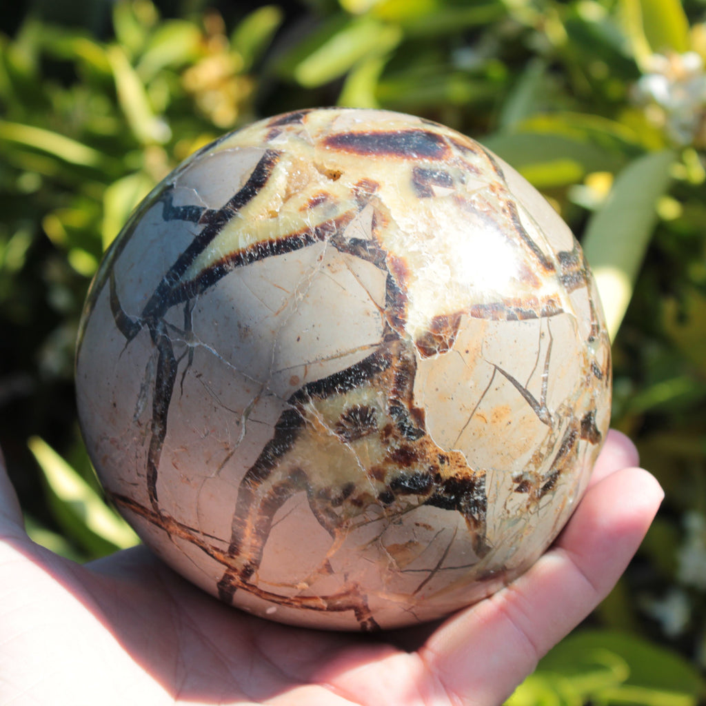 Septarian Dragon Stone sphere 1890g SALE Rocks and Things