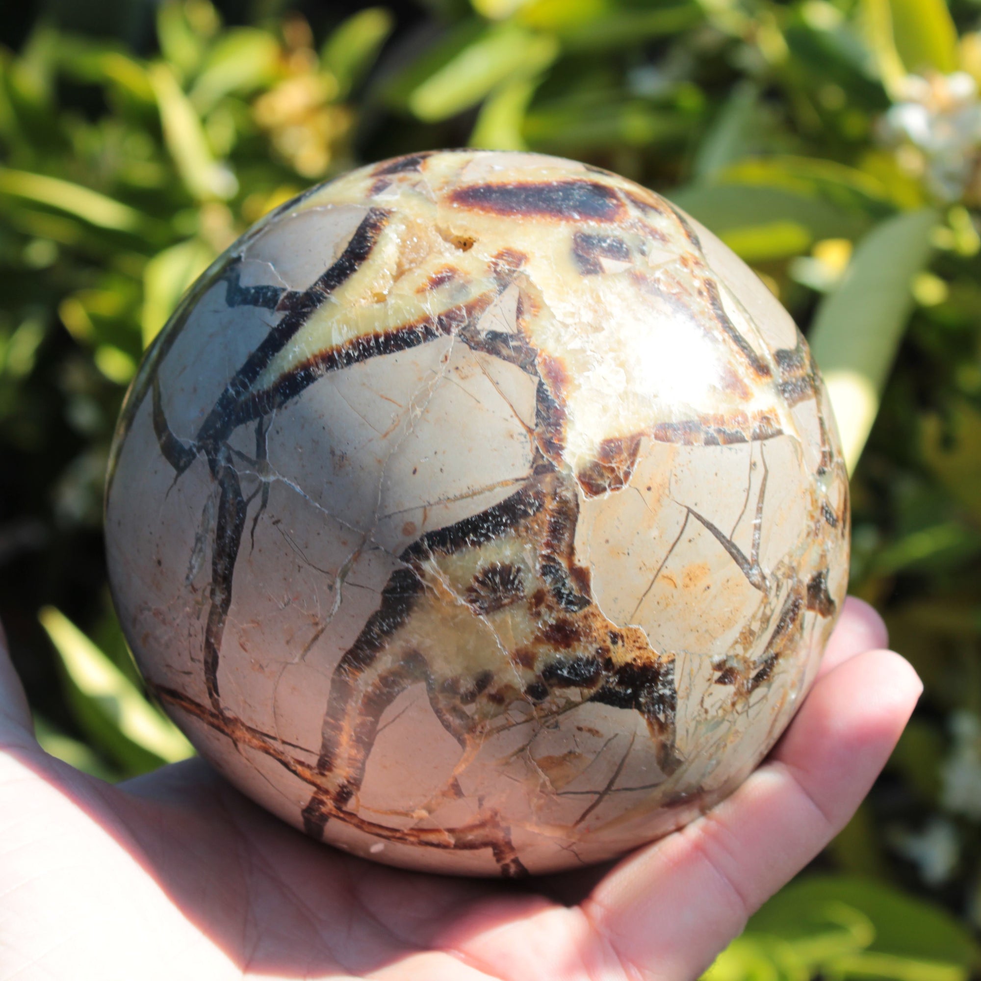 Septarian Dragon Stone sphere 1890g SALE Rocks and Things